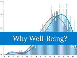 Why Well-Being? - Mid-America Coalition on Health Care