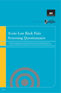 Acute low back pain screening questionnaire