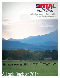 A Look Back at 2014 - Vital For Colorado