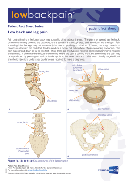Low back and leg pain patient fact sheet