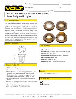 VOLT® Low Voltage Landscape Lighting Brass Bully Well Lights