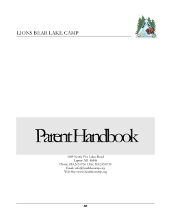 Visually Impaired & Blind Parent Handbook Level 1