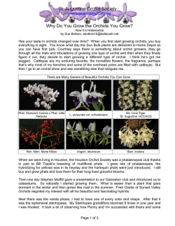 Why Do You Grow the Orchids That You Grow?