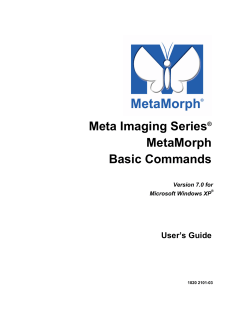 MetaMorph Basic Commands