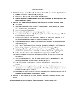 Vocabulary for S6E5g 1. On a sheet of paper, you need to write the