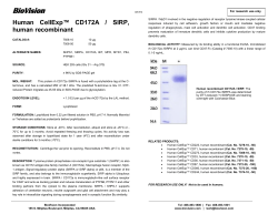 CD172A, human recombinant
