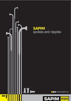 SAPIM spokes and nipples
