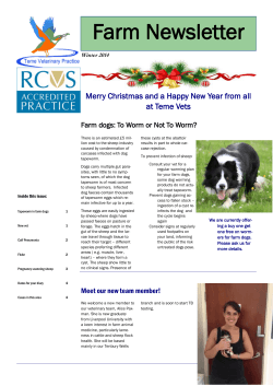here - Teme Veterinary Practice