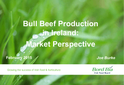 Bord Bia Presentation on Bull Beef Production