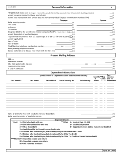 -1040/Client Organizer Blank Forms (Org)