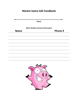 Market Swine SAE handbook Name Phone #