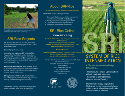 SRI-Rice brochure - System of Rice Intensification