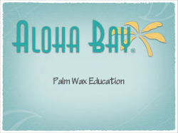 Palm Wax Education