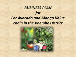 BUSINESS PLAN for For Avocado and Mango Value chain in the