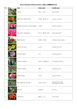 Flowers blooming at KFBG in February 本園2月份燦爛盛放的花卉
