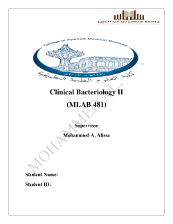 Clinical Bacteriology II (MLAB 481)