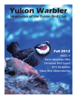 Yukon Warbler — Fall 2012
