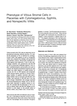 Placentas with Cytomegalovirus, Syphilis, and Nonspecific Villitis