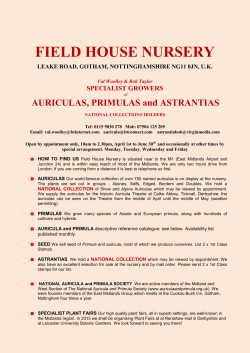 FIELD HOUSE NURSERY - National Auricula and Primula Society
