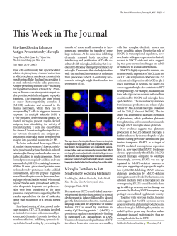 This Week in The Journal - The Journal of Neuroscience