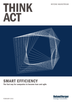 Smart Efficiency  - Roland Berger Strategy Consultants