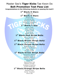 Master Seo`s Tiger Kicks Tae Kwon Do Belt Promotion Test Pass List