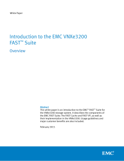 Introduction to the EMC VNXe3200 FAST™ Suite