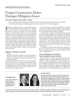 Unique Construction Defect Damages Mitigation Issues