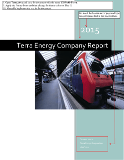 Terra Energy Company Report - Business and Computer Science