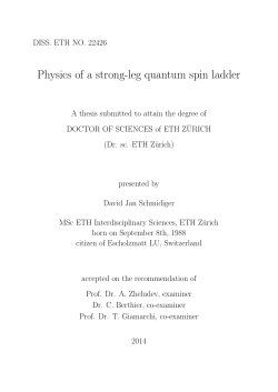 Physics of a strong-leg quantum spin ladder