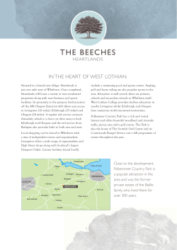 THE BEECHES
