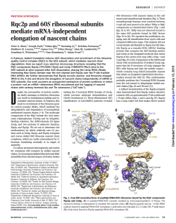 View PDF - Department of Biochemistry