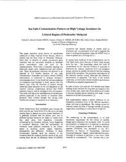 Sea salts contamination pattern on high voltage