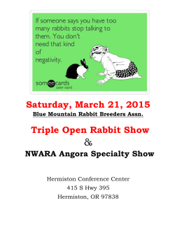 Saturday, March 21, 2015 Triple Open Rabbit Show