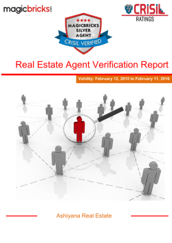 Real Estate Agent Verification Report