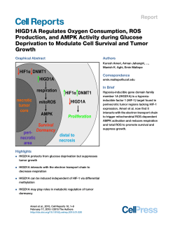 HIGD1A Regulates Oxygen Consumption, ROS Production