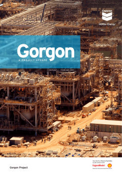 Gorgon - A Project Update