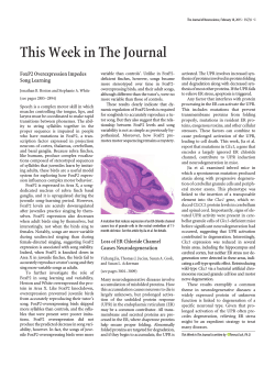 This Week in The Journal - The Journal of Neuroscience