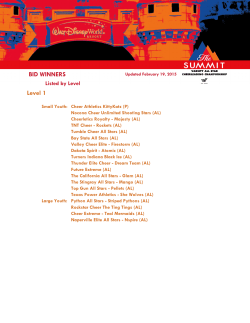 2015 Summit Bid Winners