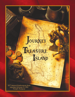 Journey to Treasure Island Auction Program