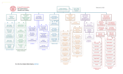 EH&S Organizational Chart (Visio)