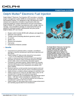Delphi Multec® Electronic Fuel Injection