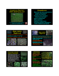 Groundcovers - Department of Horticultural Sciences