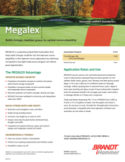 Megalex - iHammer LLC. Technologies