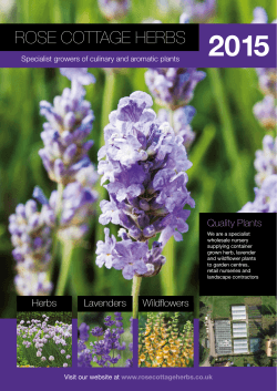 RCH Catalogue  - Rose Cottage Herbs