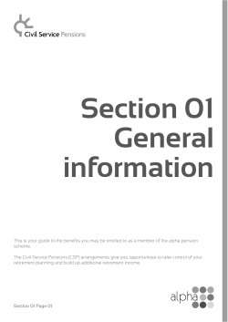 alpha scheme guide: Section 1