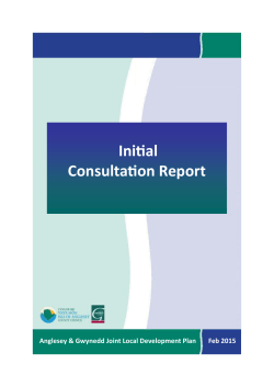 preliminary consultation report