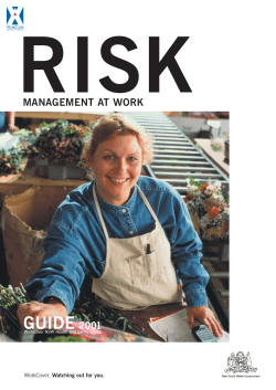 Risk Management at Work: Guide