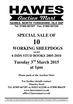 SPECIAL SALE OF WORKING SHEEPDOGS Tuesday 3 March