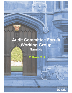Audit Committee Forum Working Group